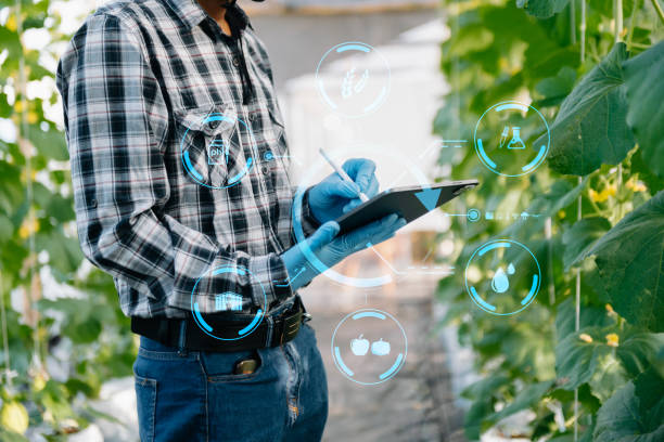 هوش مصنوعی مدیریت موجودی و استراتژی سئو کشاورزی در طراحی سایت فروشگاهی - پینو سایت