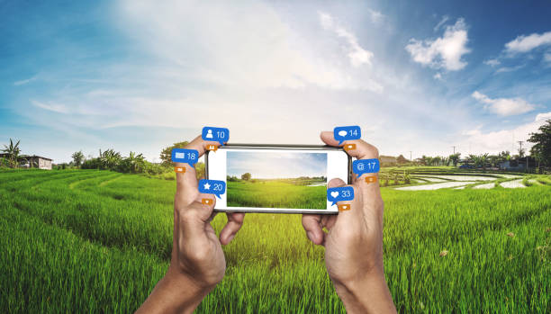 بازاریابی دیجیتال محصولات دامی در شبکههای اجتماعی برای ایجاد شفافیت