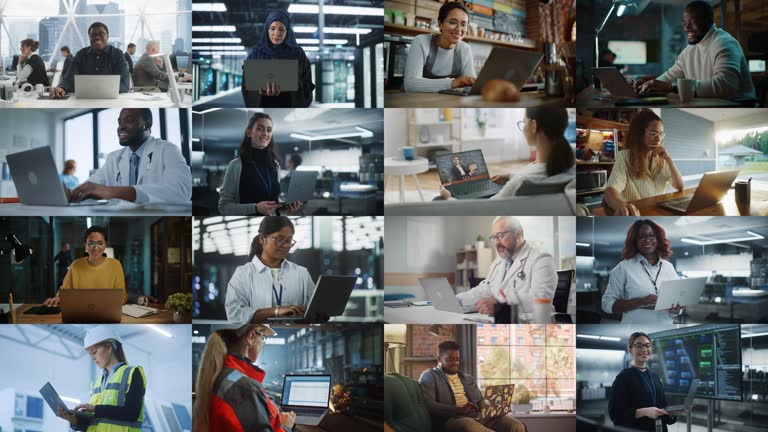 تیم متخصص پینو سایت در حال کار روی سئو فروشگاه اینترنتی و بازاریابی دیجیتال گیاهان دارویی