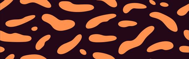 تجسم هنر کاشی اصفهان با فناوری AR