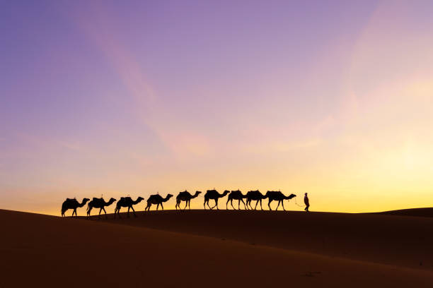 جذب زائران و توریستهای عرب در مشهد ۱۴۰۵: استراتژی جامع سئو دوزبانه و ساخت نرم افزار رزرواسیون هوشمند برای هتلها - جذب گردشگر عرب و بازاریابی گردشگری