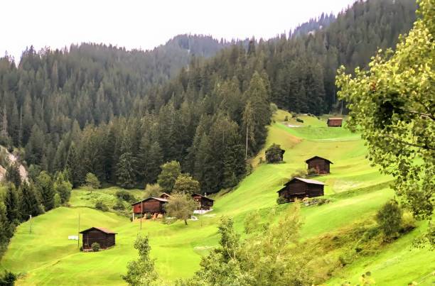 طراحی وبسایت بومگردی، سئو اقامتگاه بومگردی، تولید محتوای گردشگری، بازاریابی آنلاین بومگردی در ساری