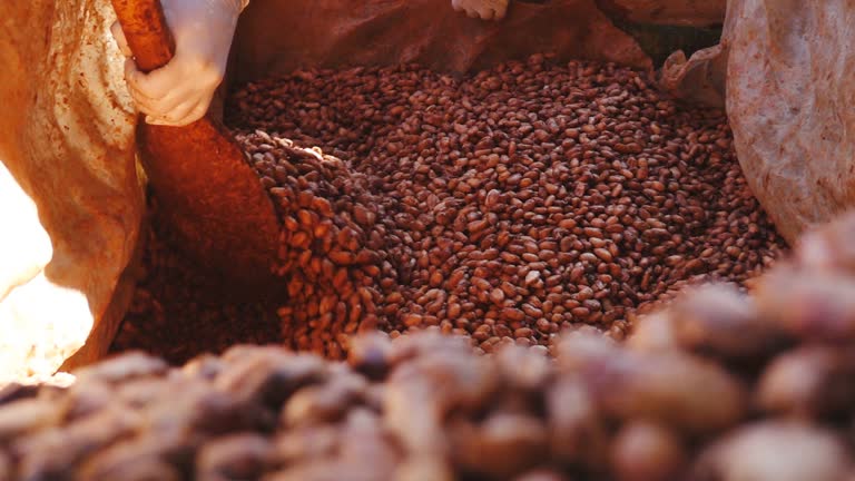 مدیریت صادرات به اوراسیا از تبریز: نقش ساخت نرم افزار CRM سفارشی در موفقیت سئو B2B برای کارخانجات خشکبار - محصولات خشکبار با کیفیت برای صادرات به اوراسیا