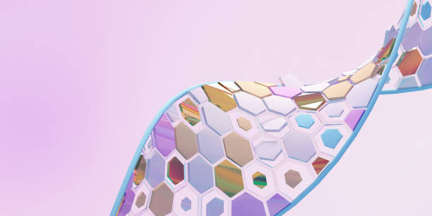 پل سلامت دیجیتال از مشهد به حاشیه خلیج فارس: مفهوم سلامت دیجیتال و نقش فناوری در پزشکی