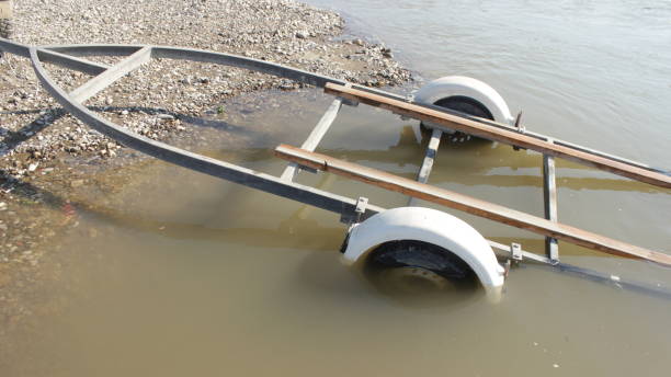 شناسنامه دیجیتال برای طلای سفید همدان: طراحی وبسایت حرفهای برای صادرات سیر