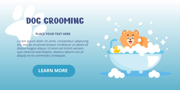 صفحه فرود آرایشگاه حیوانات با سگی کارتونی در وان حمام، مثالی از طراحی سایت دامپزشکی و مشاوره دیجیتال مارکتینگ