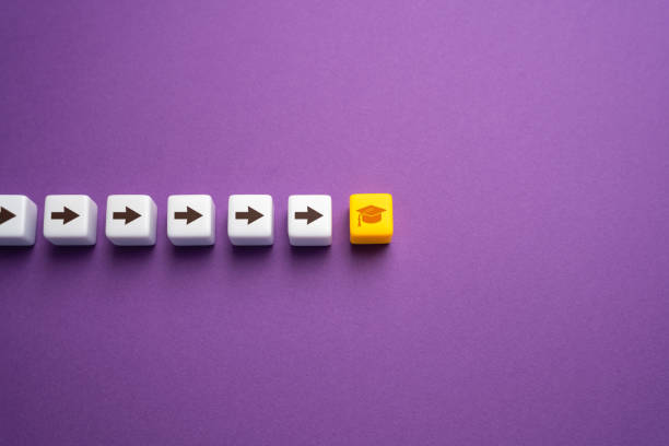 سیستم یکپارچه پوشاک 2025 - استراتژی دیجیتال پوشاک