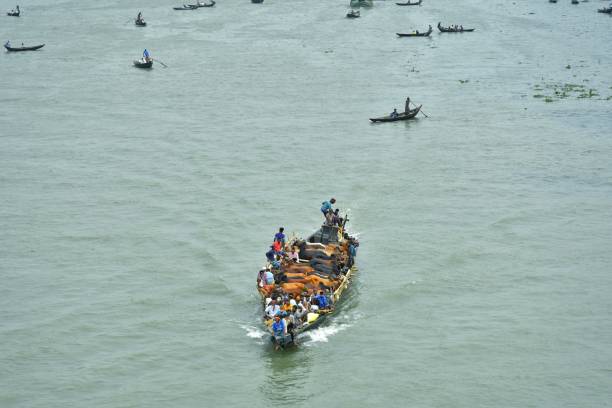 شفافیت زنجیره تامین دام از مرتع تا بازار با استفاده از تکنولوژی و طراحی سایت IoT