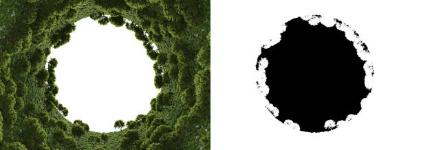 رشد کسب و کار اقامتگاه بوم گردی با طراحی وبسایت حرفهای پینو سایت