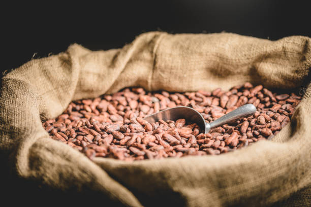 صادرات شیرینی سنتی یزد: استراتژی سئو بینالمللی و طراحی پورتال B2B پینو سایت