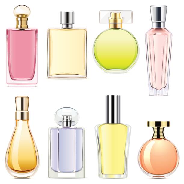 طراحی لوگو و برندینگ دیجیتال برای آژانس گردشگری سلامت توسط پینو سایت