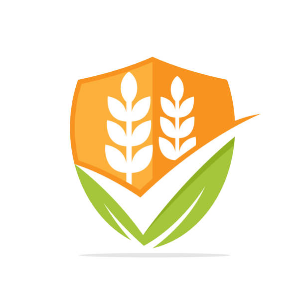 تضمین کیفیت مواد غذایی با فناوری بلاکچین و خدمات پینو سایت