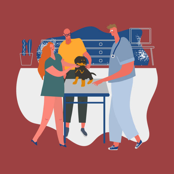 حضور آنلاین کلینیک دامپزشکی گرگان - دامپزشک در حال معاینه سگ در کلینیک