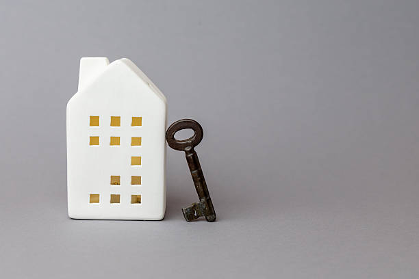 طراحی پورتال امن B2B برای شرکت های بازرگانی اهواز