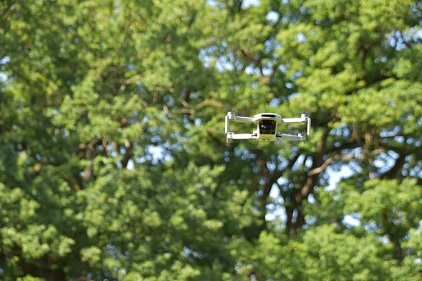 پهپاد با دوربین بر فراز مزرعه: نقشه راه سئو B2B و ساخت پلتفرم یکپارچه برای شرکتهای کشاورزی هوشمند در گرگان