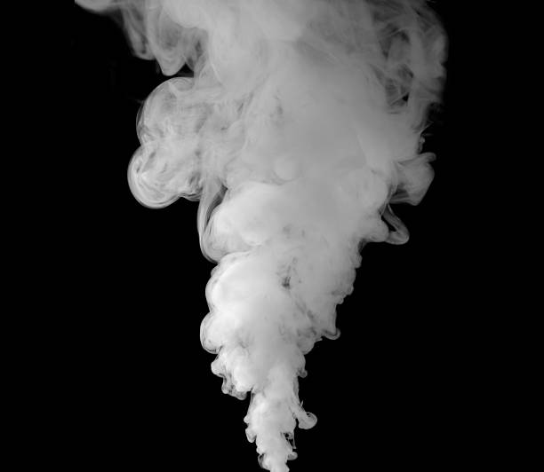 نتیجهگیری و گامهای بعدی برای استودیوهای موشن گرافیک