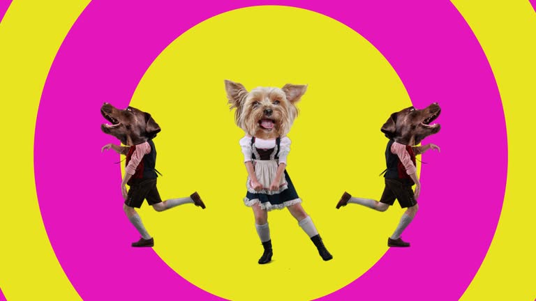 بازاریابی آنلاین رستوران سنتی در شیراز