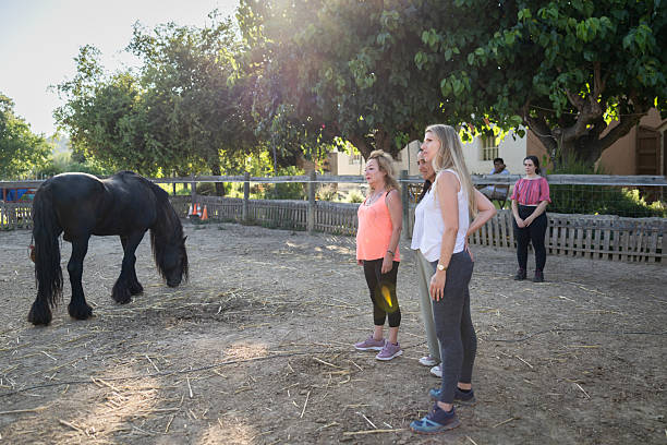 داستانسرایی و ارتباط با جامعه در مزارع ارگانیک گرگان از طریق وبسایت پینو سایت