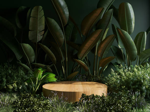 طراحی وبسایت فروشگاهی لوکس برای نمایش محصولات خاص