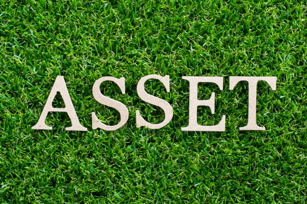 حفاظت از داراییهای ناملموس، استراتژی سئو محتوایی و ساخت پورتال مشتریان برای برندینگ دیجیتال دفاتر وکالت ثبت برند در تبریز