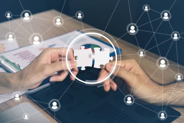 پشتیبانی سایت و امنیت سایبری پینو سایت برای شرکت ترخیص کالا در بوشهر