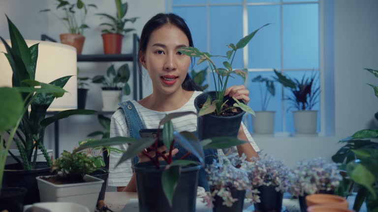 بازاریابی دیجیتال پارچه از طریق شبکههای اجتماعی و فروش مستقیم