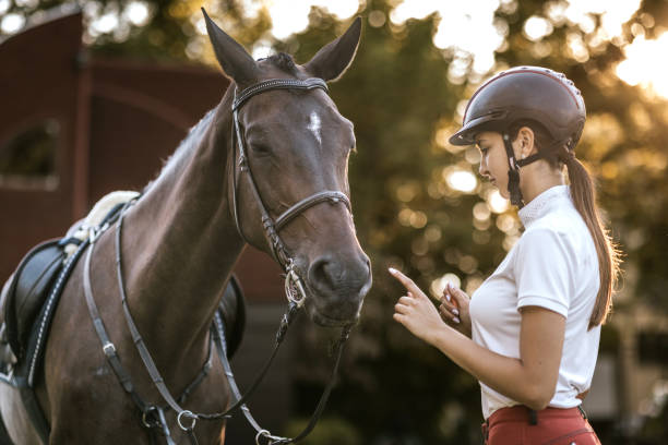 سئو آموزشگاه فنی برای جذب شرکتهای بزرگ صنعتی