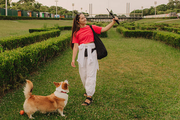 محتوای تولیدی کاربر برای بازاریابی گردشگری