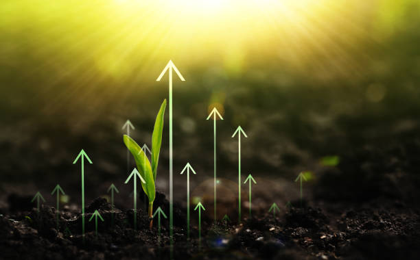 رشد کسب و کار کشاورزی با دیجیتال مارکتینگ و سئو