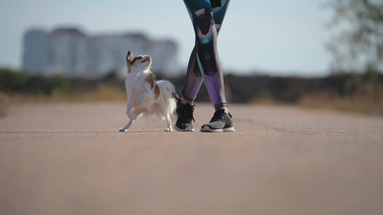 زن مربی در فضای باز شهری در حال کار با حیوان خانگی، نمادی از فرآیند آموزش و پشتیبانی وبسایت آموزشی