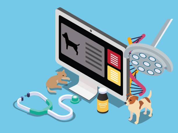 طراحی وبسایت دامپزشکی در رشت - بهینهسازی سایت دامپزشکی و سئو محلی