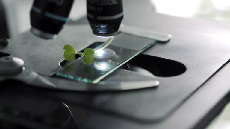 سئو تخصصی پزشکی برای مراکز بیولوژی تولید مثل در مشهد: محتوای علمی و پژوهشی