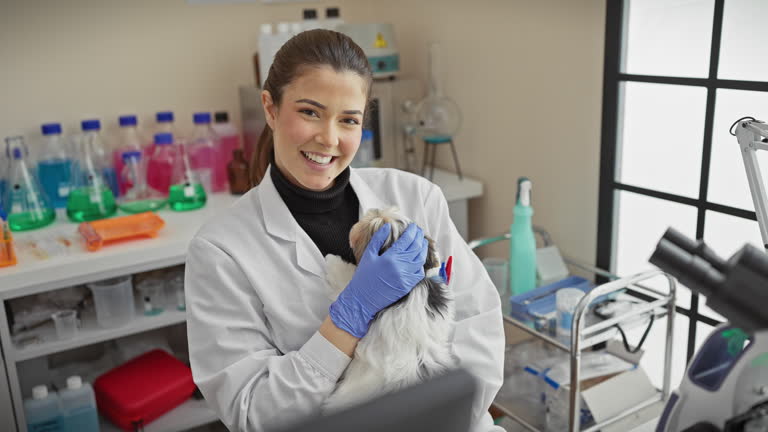 سئو و برندینگ دیجیتال برای کلینیکهای دامپزشکی در کرج: دامپزشکی در حال معاینه حیوان خانگی، سئو کلینیک دامپزشکی