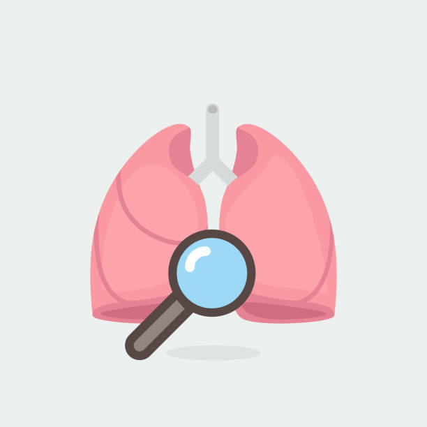 تصویر وکتور ریهها: سئو سایت پزشکان فوق تخصص ریه و اهمیت سلامت ریه در مشهد