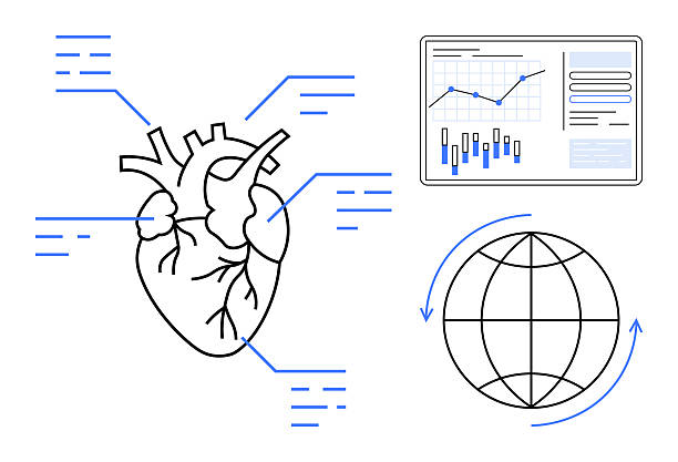 نمودار قلب انسانی متصل به چارتهای داده و نماد کره زمین: سئو قلب و عروق، بازاریابی دیجیتال پزشکی