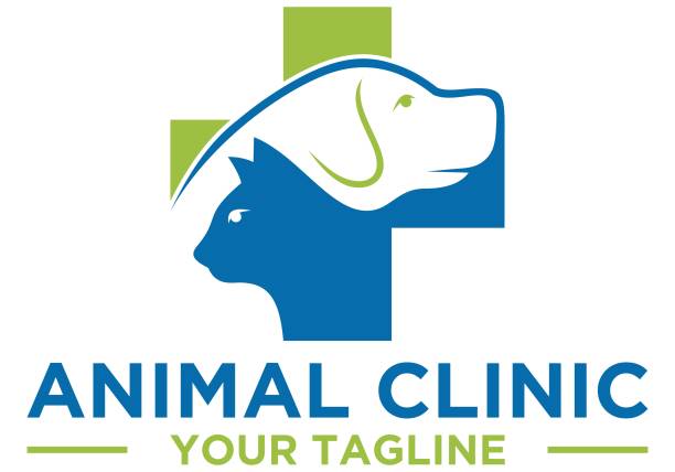 آموزش سئو برای کلینیکهای دامپزشکی در کرج: ارتقای برندینگ دیجیتال و وبسایت سلامت حیوانات در ۲۰۲۶ - طراحی لوگو کلینیک دامپزشکی