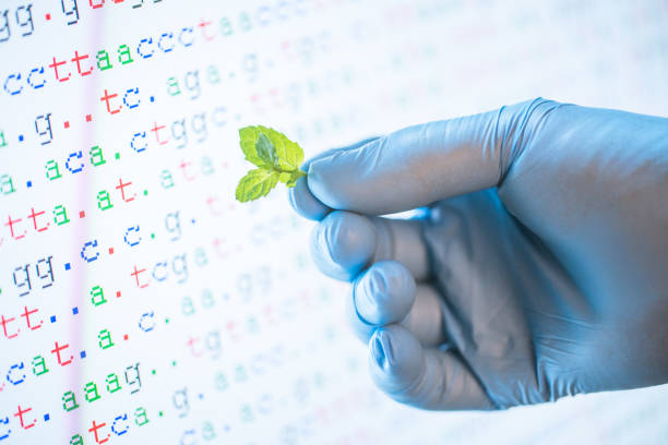 مشاوره دیجیتال مارکتینگ سلامت و سئو تخصصی پزشکی برای مراکز ژنتیک پزشکی در تهران: افزایش نوبتدهی آنلاین و اعتماد بیماران - تصویر محقق با دستکش آبی و برگ نعنا با رشته DNA