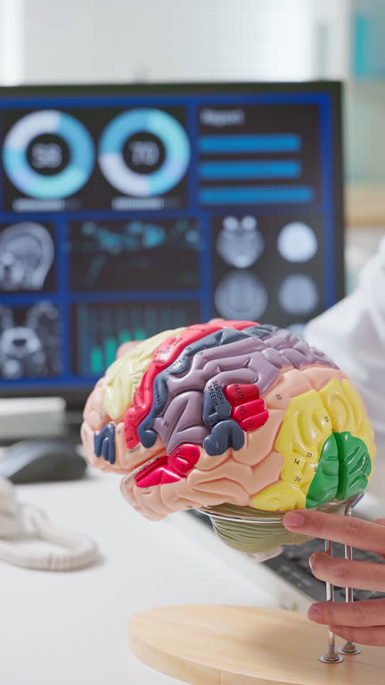 طراحی UX بیمارمحور برای فوق تخصص مغز و اعصاب در کرمان: ملاقات سالمندان آسیایی با متخصص مغز و اعصاب و تجربه کاربری پزشکی