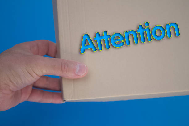 مشاوره دیجیتال مارکتینگ سلامت برای مراکز فیزیوتراپی در یزد: آموزش سئو و افزایش جذب مراجعین – تمرکز بر سئو و بازاریابی برای جلب توجه مخاطب