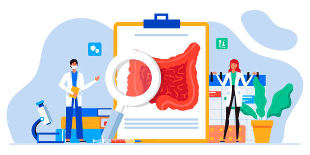 سئو سایت پزشکان فوق تخصص گوارش و کبد در مشهد: سلامت روده و باکتری های دستگاه گوارش