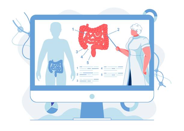 وردپرس پزشکان و وبسایت متخصص گوارش و کبد در اهواز
