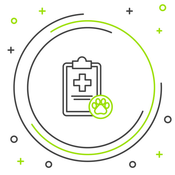 آموزش سئو برای کلینیکهای دامپزشکی در کرج: ارتقای برندینگ دیجیتال و وبسایت سلامت حیوانات در ۲۰۲۶ - نماد پرونده پزشکی حیوانات