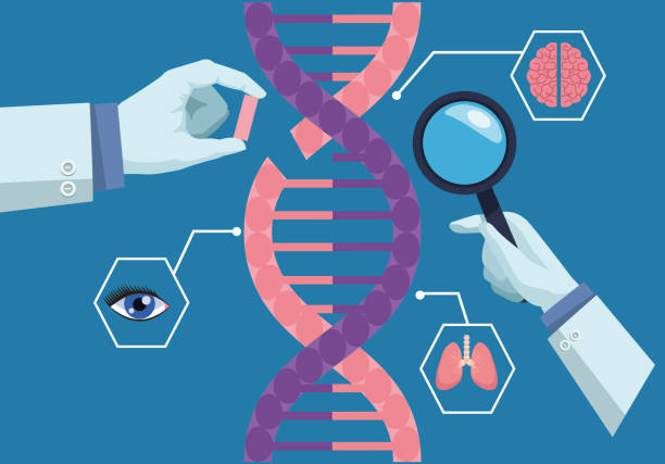 دانشمندان در حال بررسی DNA، نمادی از مراکز ژنتیک و مشاوره ژنتیک در شیراز، با پشتیبانی وبسایت درمانی و امنیت وردپرس پزشکی در سال ۲۰۲۶