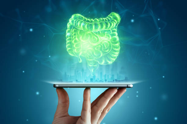 طراحی وبسایت پزشکی با قابلیتهای پیشرفته برای فوق تخصص گوارش و کبد در شیراز