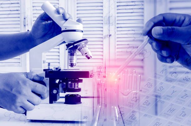 آموزش سئو تخصصی و مشاوره دیجیتال مارکتینگ سلامت برای آزمایشگاههای تشخیص طبی در تبریز: ارتقاء وبسایت سلامت و جذب مراجعین 2026 - بازاریابی آزمایشگاه تشخیص طبی و سئو سلامت