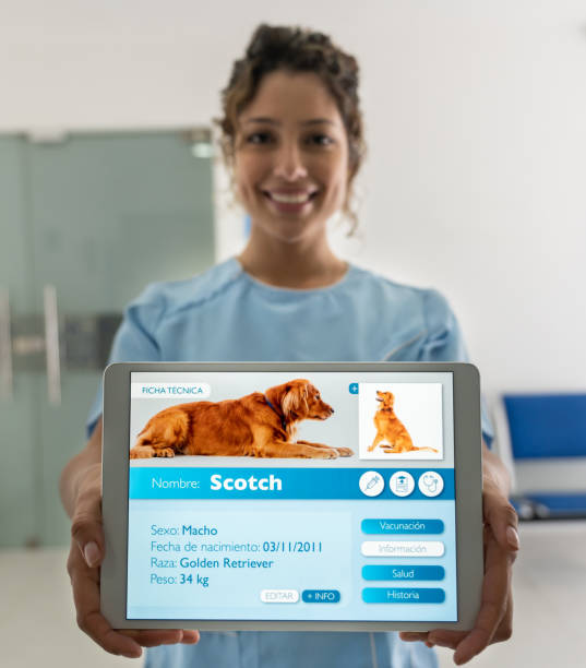 آموزش سئو و برندینگ دیجیتال برای کلینیکهای دامپزشکی در کرج: تبلت در حال نمایش اپلیکیشن ثبت حیوان خانگی، بازاریابی آنلاین دامپزشکی