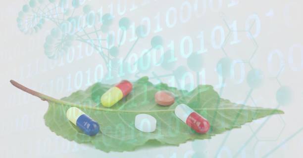 قرصهای پزشکی روی برگ و پردازش دادههای دیجیتال برای کلینیک هومیوپاتی در قزوین: ارتقاء تجربه دیجیتال و جذب مراجعین