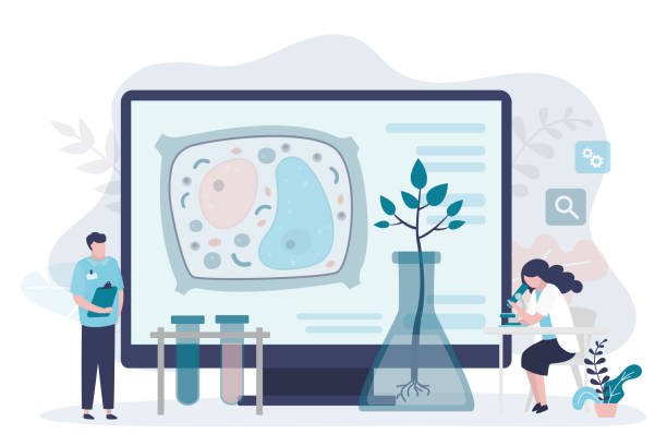 پشتیبانی سایت کلینیک برای آزمایشگاههای تخصصی پاتوبیولوژی در اصفهان: پایداری وبسایت سلامت با وردپرس پزشکی 2026 - سایت آزمایشگاه پاتوبیولوژی