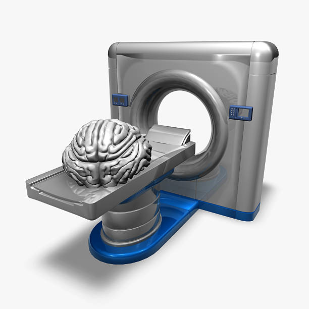 تصویر گرافیکی مغز و MRI: بهبود تجربه کاربری مراجعین و جذب هوشمند بیماران با سئو تخصصی پزشکی در مشهد
