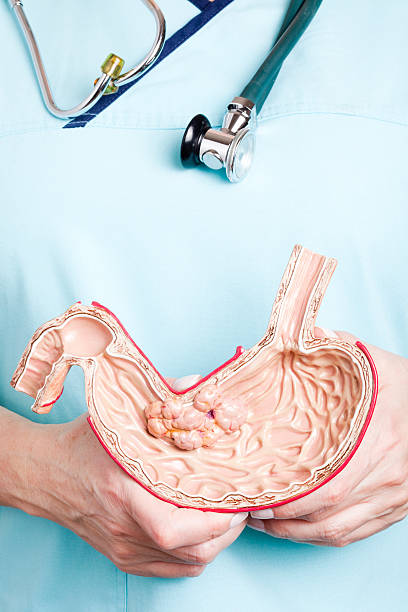 پشتیبانی وبسایتهای درمانی و آموزش سئو برای فوق تخصص گوارش و کبد در سنندج: فوق تخصص گوارش و آموزش سئو درمانی